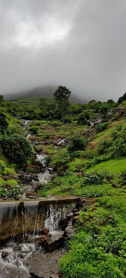 ناسيك Golden Resort And Farm المظهر الخارجي الصورة